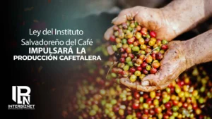 Ley del Instituto Salvadoreño del Café impulsará la Producción Cafetalera